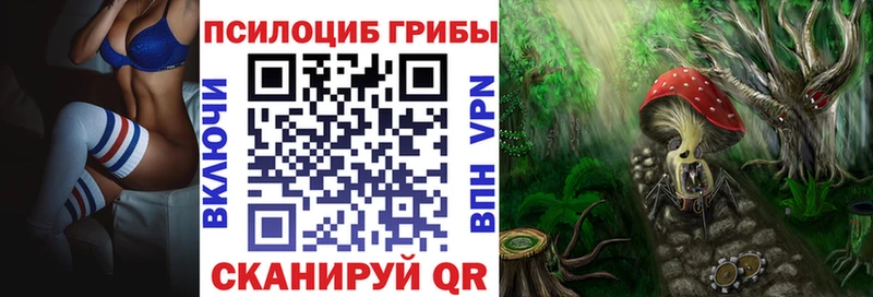 Псилоцибиновые грибы Psilocybine cubensis  дарк нет телеграм  Электроугли  mega ССЫЛКА 